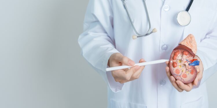 Ar inkstų nepakankamumas paveldimas?