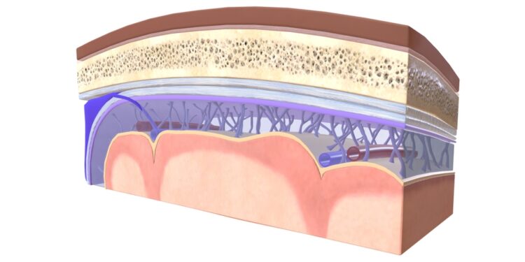 Ekspertas paaiškina 12 meningito serogrupių ir jų reikšmę