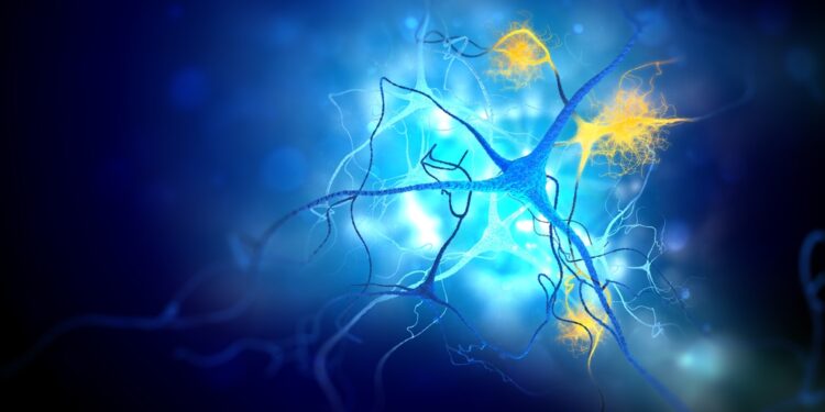 Alzheimerio ligos eigos supratimas
