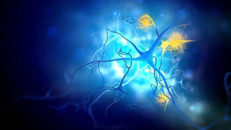Alzheimerio ligos eigos supratimas