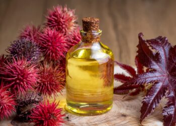 Ar ricinų aliejus skatina plaukų augimą?