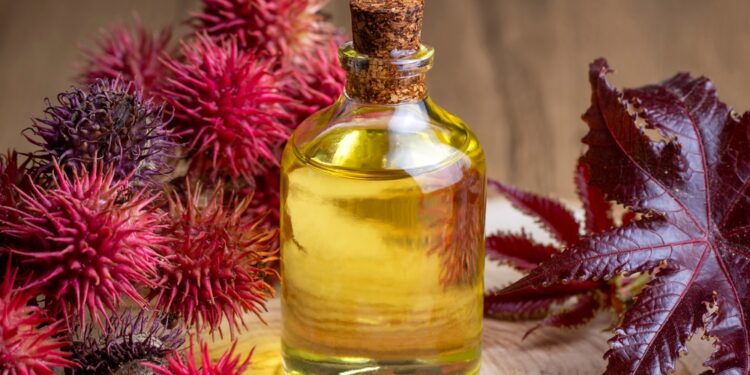 Ar ricinų aliejus skatina plaukų augimą?