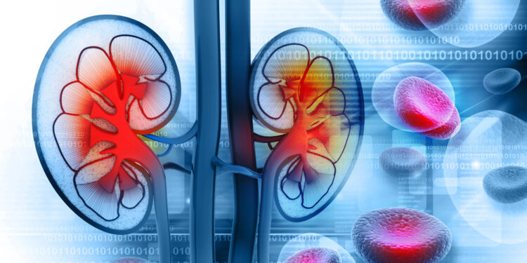 Inkstų ląstelių vėžio tipai: 3 dažniausios rūšys ir svarbiausia informacija