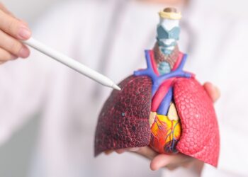 Lėtinės obstrukcinės plaučių ligos apžvalga