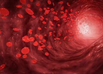 Pėdos kraujagyslių sandara