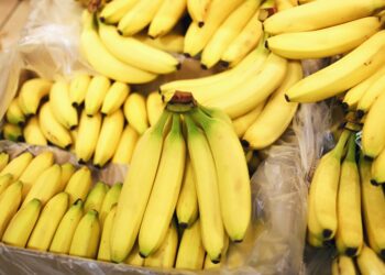 Bananai sergantiems podagra: mažai purinų, gausu vitamino C