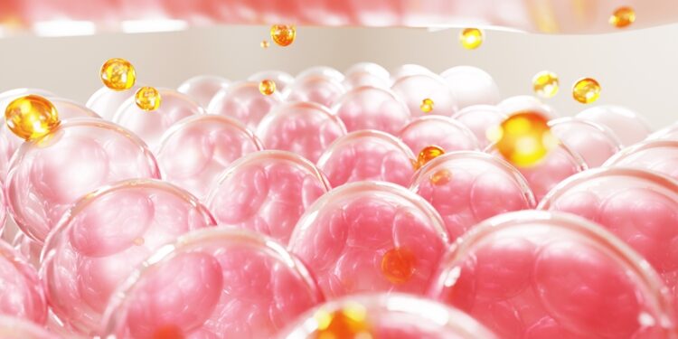 Kas yra hiperelastinga oda?