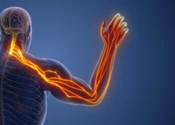 Slanksteliai ir nervai