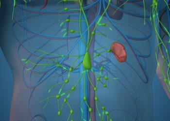 Gimdos kaklelio limfmazgių grupė