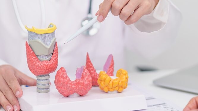 Hipotirozės treniruočių planas