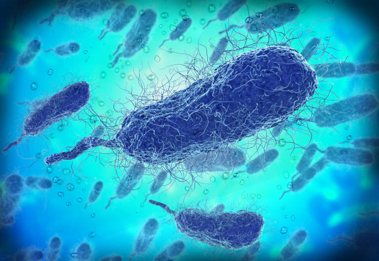 Vibrio vulnificus: infekcija, diagnostika, gydymas ir profilaktika