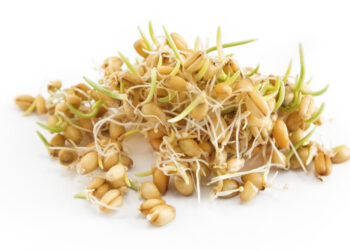 Kviečių gemalų nauda sveikatai