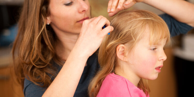 Kodėl mano vaikui vis pasikartoja utėlės?