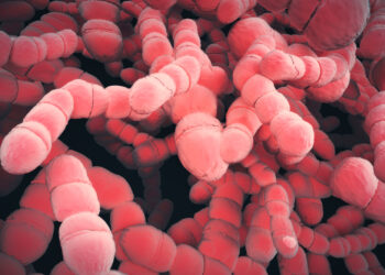 Kiek laiko infekcinė mononukleozė (mono) yra užkrečiama?