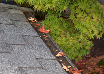 Ar juostinė pūslelinė gali palikti randų?