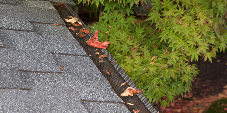 Ar juostinė pūslelinė gali palikti randų?