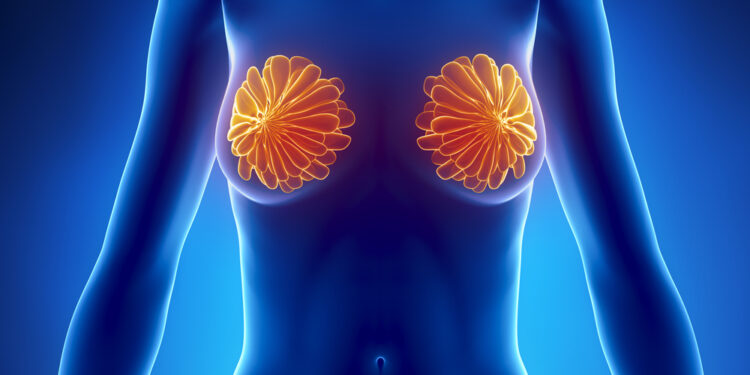 Krūties liaukos ir latakai