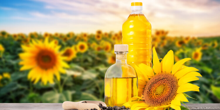 Saulėgrąžų aliejus plaukams