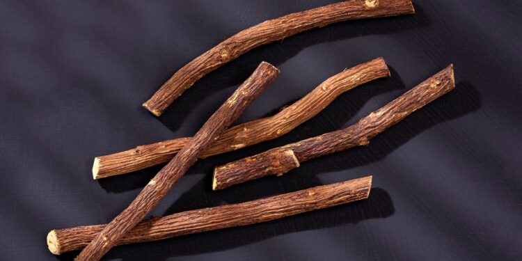 Saldymedis nuo alergijos