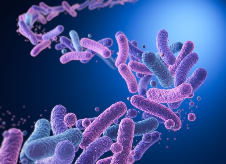 Bifidobacterium Infantis probiotiko vartojimo instrukcija