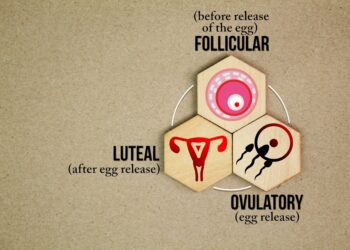 Gimdymo (arba: gimdymo proceso) trys tarpsniai