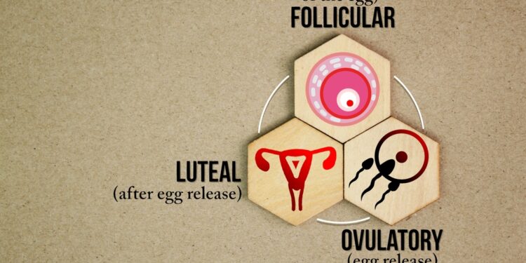 Gimdymo (arba: gimdymo proceso) trys tarpsniai