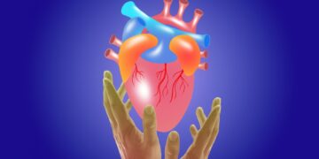 Įdomūs faktai apie širdį, kurių galbūt nežinojote