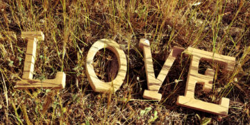 Kiek laiko išlieka meilės įkandimai?