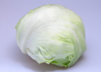 Ar icebergo salotos turi kokios nors maistinės naudos?