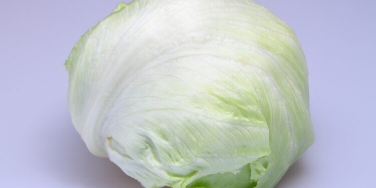 Ar icebergo salotos turi kokios nors maistinės naudos?