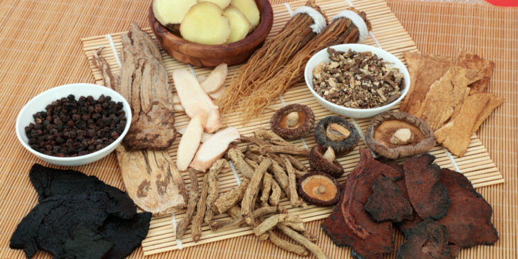 Rehmanija: Kinijos paslaptis