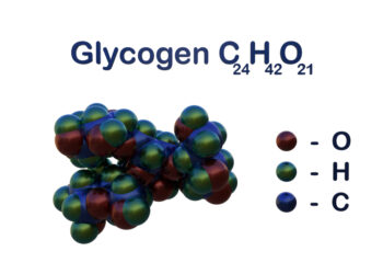 Kas yra glikogenas ir kodėl tai svarbu jūsų sveikatai?
