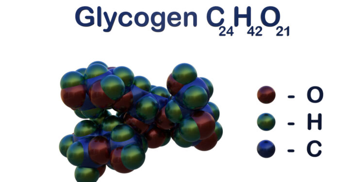Kas yra glikogenas ir kodėl tai svarbu jūsų sveikatai?