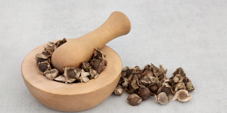 Ar homeopatija tinka gydyti astmą?