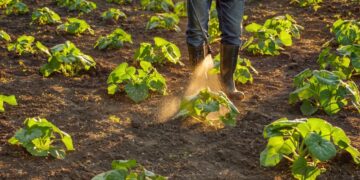 Trąšų ir augalų tręšimo priemonių apsinuodijimas
