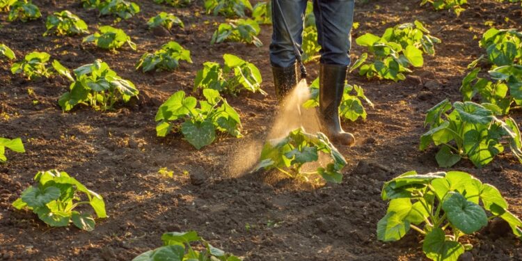 Trąšų ir augalų tręšimo priemonių apsinuodijimas