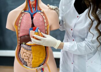 Kokia kietžiausia medžiaga žmogaus organizme?