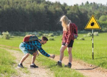 Kaip atskirti Laimo ligą nuo išsėtinės sklerozės? Sužinokite pagrindinius požymius