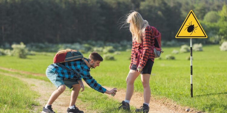 Kaip atskirti Laimo ligą nuo išsėtinės sklerozės? Sužinokite pagrindinius požymius
