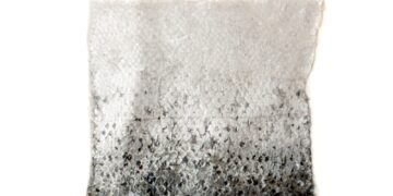 Ar lašišos oda tinkama valgyti?