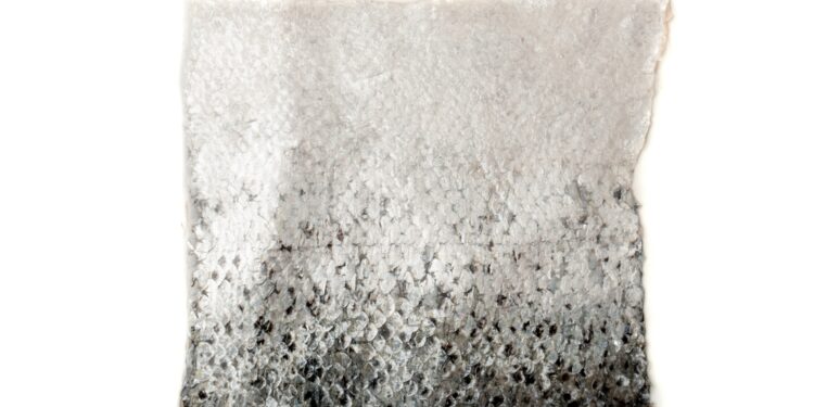 Ar lašišos oda tinkama valgyti?