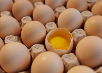 Ar laisvai laikomų vištų kiaušiniai sveikesni?