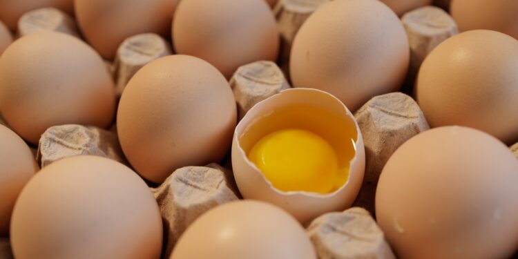 Ar laisvai laikomų vištų kiaušiniai sveikesni?