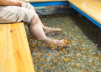 Ar žuvyčių pedikiūras yra saugus ir naudingas?