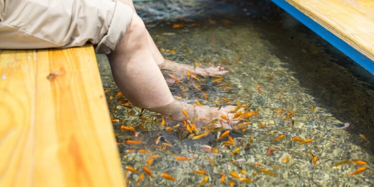 Ar žuvyčių pedikiūras yra saugus ir naudingas?