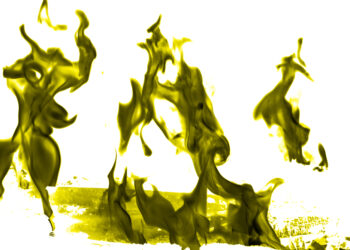 Ar šlapime yra DNR?