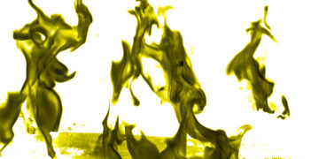 Ar šlapime yra DNR?