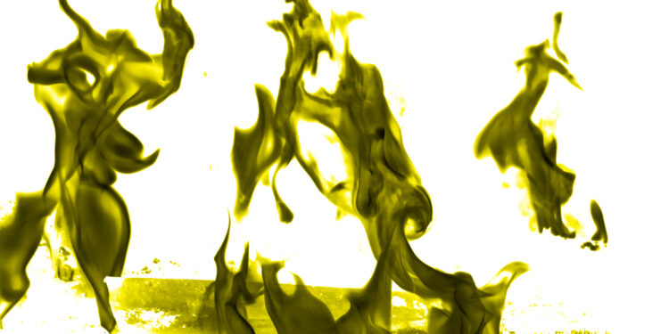 Ar šlapime yra DNR?