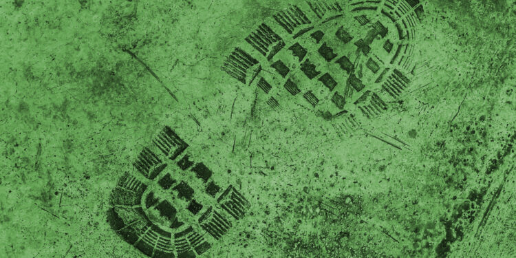 Kodėl mano pėdos kvepia actu?