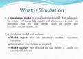 Kas yra simuliavimas?